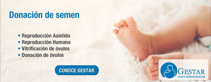 donacion de esperma argentina, donación de semen, donante de esperma precio, requisitos para ser donante de esperma, 